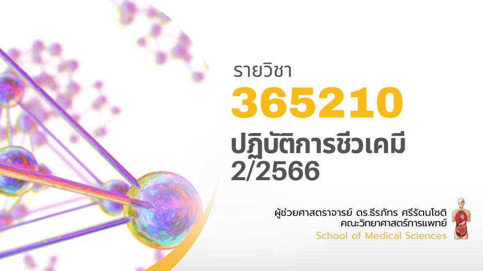 ปฏิบัติการชีวเคมี 2/2566