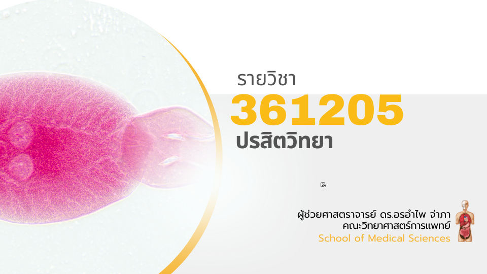 361205[2] - ปรสิตวิทยา (2/2567)