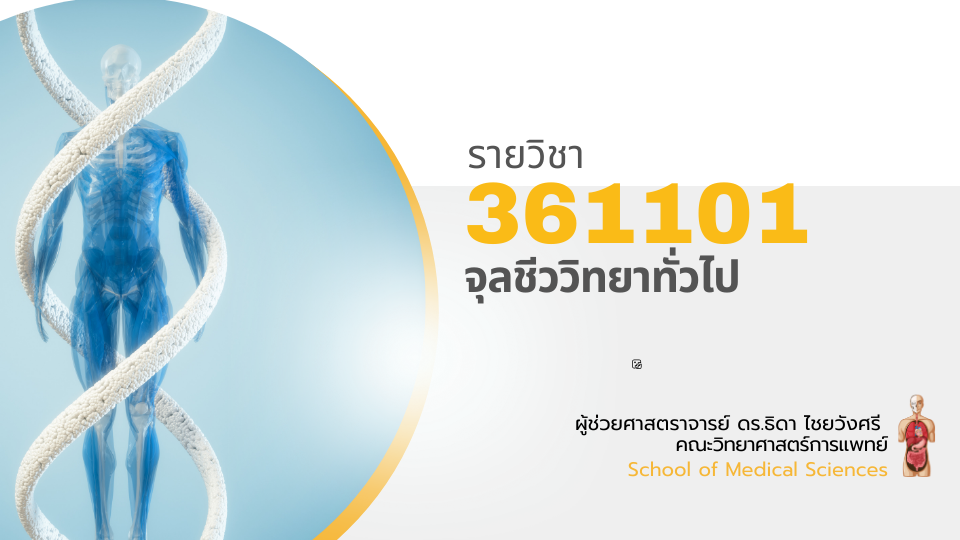 361101[1] - จุลชีววิทยาทั่วไป (2/2567)