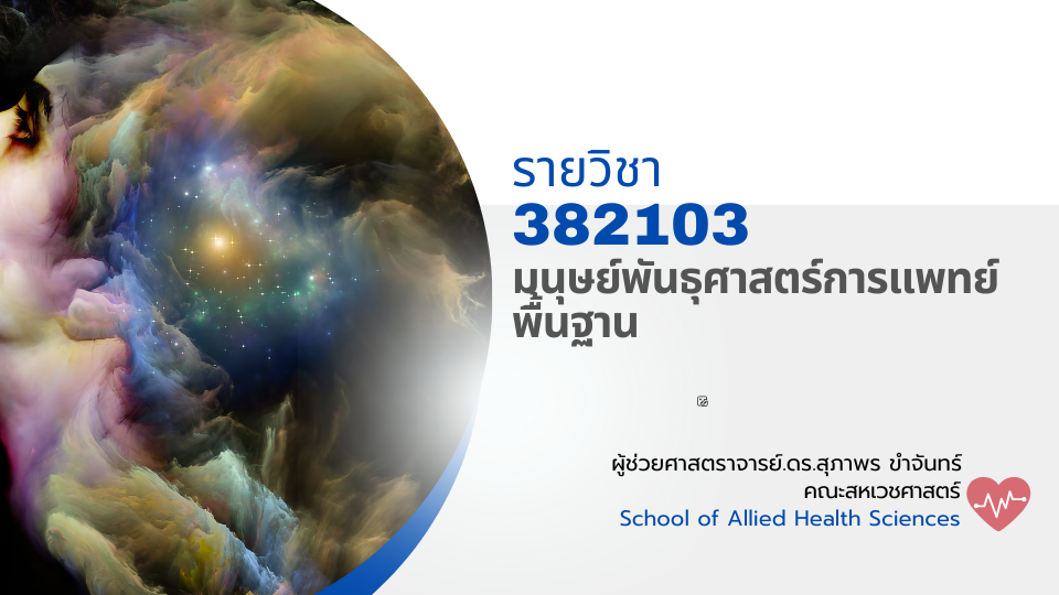 382103[1] - มนุษย์พันธุศาสตร์การแพทย์พื้นฐาน (2/2567)