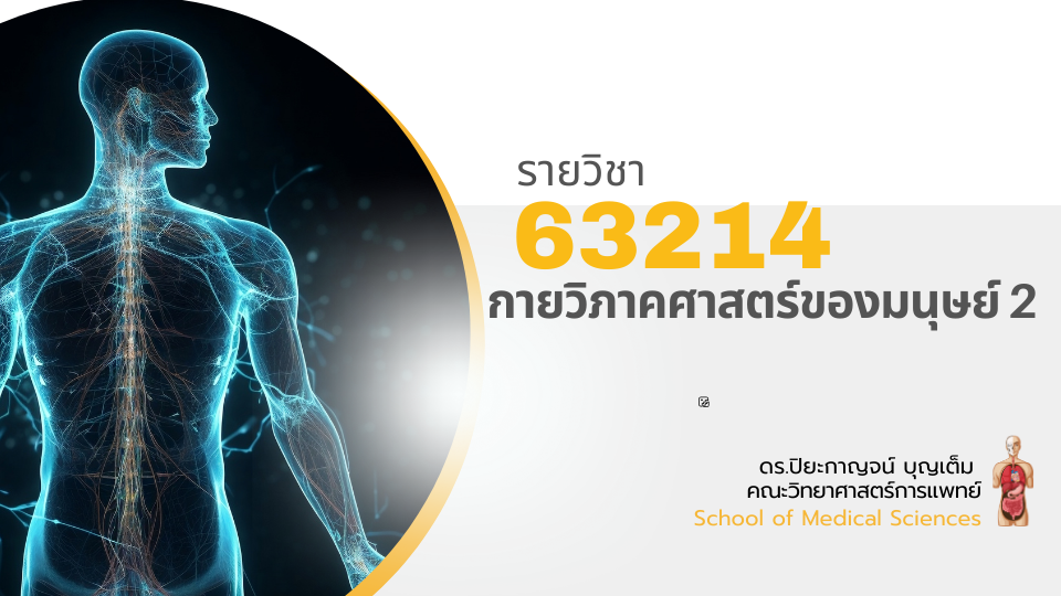 363214[1] - กายวิภาคศาสตร์ของมนุษย์ 2 (2/2567)