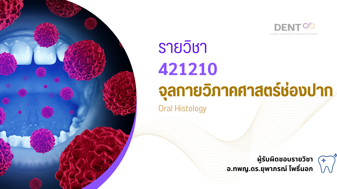 421210[1] - จุลกายวิภาคศาสตร์ช่องปาก (2/2567)