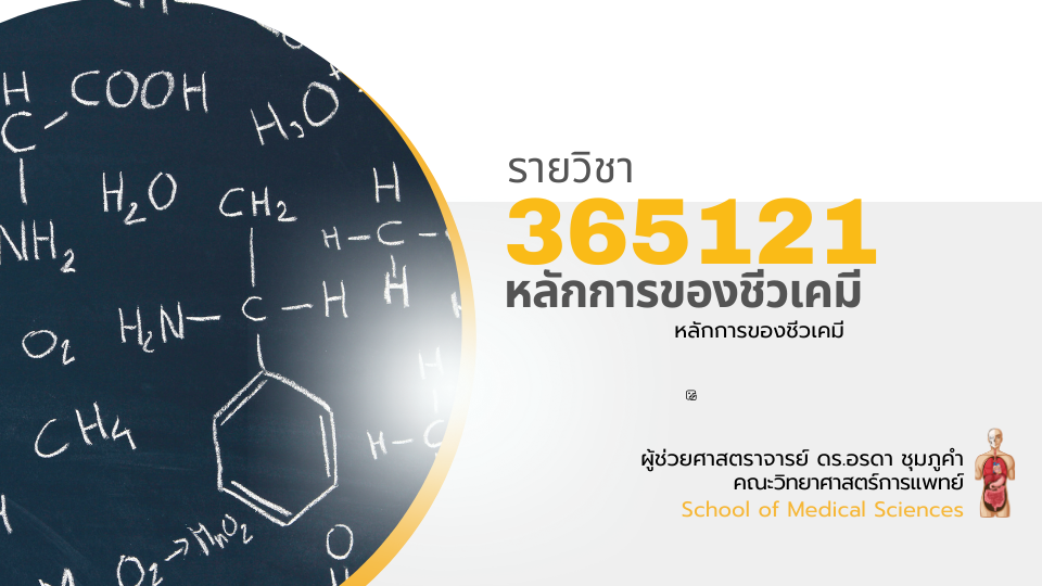 365121[1] - หลักการของชีวเคมี (2/2567)